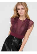 Body Dama Only Onlagnes Lace Tawny Port