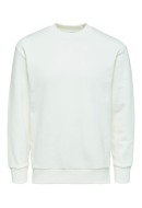 Men Blouse Selected Slhrelaxhoffman Crew Neck Egret