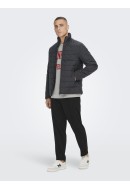 Men Jacket Only&Sons Onsanker Quilted Black