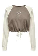 Women Blouse Only Onllula Raglan Cropped Brown Lentil/Social