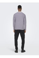 Pulover Barbati Only&Sons Onsdextor 12 Wash Raglan Purple Ash