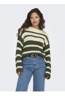 Women Sweater Jdyjusty Runa Long Eggnog/Kalamata