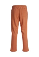 Pantaloni Barbati Jack&Jones Jpstkane Jjvesterbro Ginger