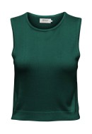 Maieu Dama Only Onlvilma Short O-Neck Aventurine