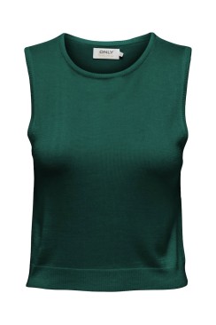Maieu Dama Only Onlvilma Short O-Neck Aventurine