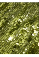 Maieu Dama Jjxx Jxtara Sequin Parrot Green